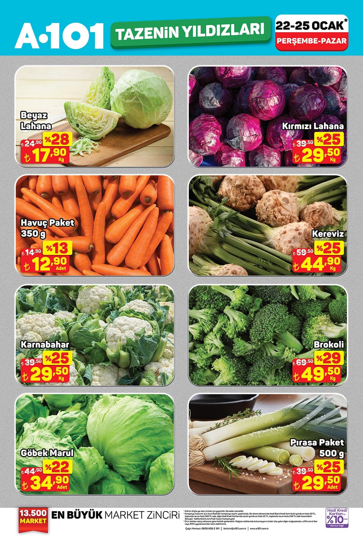 09-ocak-a101-katalogu-2026